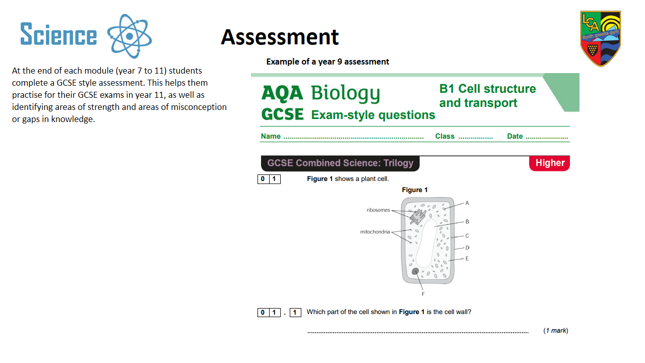 Slide9